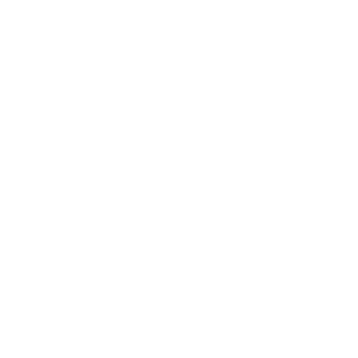 Instagram Button